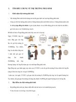 tìm hiểu và phân tích thị trường phái sinh của việt nam 