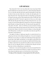 Tác động của FDI, tỷ lệ lạm phát và tỷ lệ gia tăng dân số lên GDP của hoa kỳ, 4 trung quốc, nhật bản giai đoạn 1995 đến 2016 