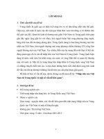 tiểu luận chính sách thương mại quốc tế nhập siêu của việt nam từ trung quốc và một số vấn đề liên quan