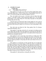 tiểu luận phân tích chi phí lợi ích đánh giá hiệu quả phát triển nông nghiệp thông minh thích ứng với biến đổi khí hậu tại việt nam 