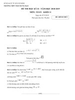 Đề 1 toán 11  thi HK2 2019 (1)  DE CHINH THUC   thd gv 