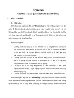 tiểu luận tài chính tiền tệ kinh nghiệm của nước ngoài về nâng cao hiệu quả đầu tư công 