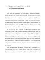 tiểu luận kế toán tài chính management fraud and accounting tips are used to manipulate enrons income statement and balance sheet 