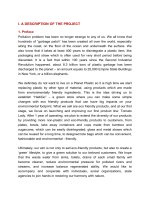 tiểu luận quản trị tài chính investment project  HADIGO STORE 