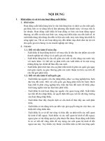 tiểu luận nguyên lý thống kế doanh nghiệp tình hình xuất khẩu cà phê của việt nam 