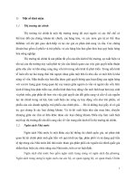 tiểu luận tài chính tiền tệ tổng quan nghiên cứu về ảnh hưởng của thâm hụt ngân sách đến thị trường tài chínhde11 