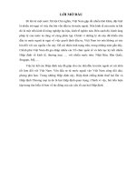 tiểu luận đàm phán kinh tế quốc tế điều khoản (hiệp định) chống đánh thuế hai lần trong WTO và các hiệp định thương mại tự do 