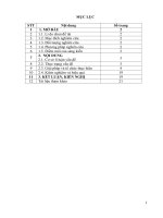 Các giải pháp hướng dẫn học sinh giải quyết một số bài toán từ đơn giản đến tổng quát, nhằm nâng cao chất lượng bộ môn trong chương trình số học lớp 6 trường PTDTBT THCS tam chung 