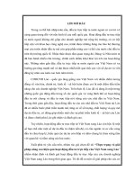 Thực trạng và giải pháp nâng cao hiệu quả hoạt động đầu tư trực tiếp của việt nam sang lào 