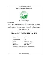 Thực hiện quy trình chăm sóc, nuôi dưỡng và phòng trị bệnh trên đàn gà thịt đông tảo tại trại chăn nuôi gia cầm khoa chăn nuôi thú y trường đại học nông lâm thái nguyên 
