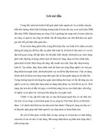 tiểu luận tài chính công nghiên cứu kinh nghiệm quản lý của một số nước nhằm đảm bảo tính bền vững của nợ công và bài học kinh nghiệm cho việt nam 