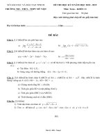 toan11 myviet deda   van tan le 