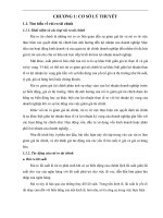 tiểu luận thị trường tài chính quốc tế NGHIÊN cứu ỨNG DỤNG CÔNG cụ PHÁI SINH TRONG PHÒNG vệ rủi RO TRÊN THỊ TRƯỜNG tài CHÍNH QUỐC tế 