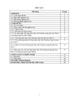 SKKN một số giải pháp tích hợp giáo dục môi trường trong dạy học địa lí ở trường trung học phổ thông 