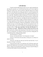 tiểu luận nghiệp vụ hải quan thực trạng và giải pháp về việc thực hiện điều khoản 7 8   các lô hàng xử lý nhanh – hiệp định tạo thuận lợi thương mại WTO tại việt nam 