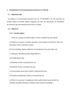 tiểu luận thuế và htt ở vn fundamentals and practice of vietnam’s law on environmental protection tax 