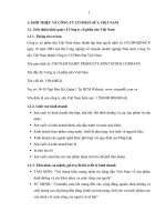 tiểu luận mareting quốc tế kinh doanh trực tiếp sản phẩm sữa của công ty cổ phần sữa vinamilk tại thị trường myanmar 