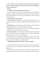 Tiểu luận cao học, môn chính sách công, phân tích các tiêu chí đánh giá chính sách công lựa chọn một chính sách công mà anh (chị) quan tâm và đánh giá chính sách đó