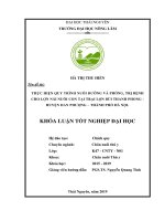 Thực hiện quy trình nuôi dưỡng và phòng, trị bệnh cho lợn nái nuôi con tại trại lợn bùi thanh phong, huyện đan phượng,thành phố hà nội 