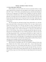 Tổng quan về môi trường quản trị, cơ cấu, phong cách lãnh đạo của tập đoàn unilever việt nam