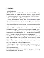 tiểu luận kinh doanh quốc tế phương thức thâm nhập thị trường của disney vào hongkong 