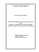 Một số kinh nghiệm vận dụng kiến thức hóa học giáo dục và hình thành ý thức bảo vệ môi trường cho học sinh trung học phổ thông 