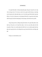 tiểu luận đàm phán quốc tế louis bloom đàm phán thuyết phục nina mua lại video độc quyền trong nightcrawler (2014) 