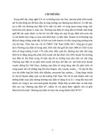 thương mại điện tử toàn cầu trong khuôn khổ wto 