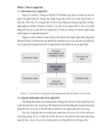 tiểu luận tài trợ thương mại quốc tế rủi ro ngoại hối và các biện pháp phòng vệ rủi ro ngoại hối 