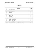 Sáng kiến kinh nghiệm: Một số biện pháp rèn kỹ năng soạn thảo văn bản cho học sinh Tiểu học