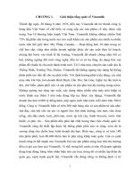 Truyền thông trong kinh doanh quốc tế của vinamilk tại thị trường châu phi và trung đông 