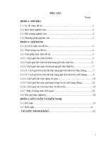 SKKN hướng dẫn học sinh giải các bài toán thực tế bằng phương pháp sử dụng hàm số mũ và hàm số lôgarit 