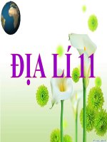 Bài giảng Địa lí lớp 11 – Bài 11: Khu vực Đông Nam Á (Tiết 2: Kinh tế)