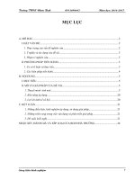 Sáng kiến kinh nghiệm: Phát triển tư duy tích cực, sáng tạo của học sinh khá, giỏi thông qua việc xây dựng, khái quát và mở rộng các bài toán số học