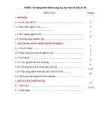 Sử dụng kênh hình dạy bài 19, lịch sử 10 “những cuộc kháng chiến chống ngoại xâm ở các thế kỷ x   XV 