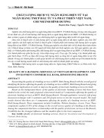 Chất lượng dịch vụ ngân hàng điện tử tại ngân hàng TMCP đầu tư và phát triển Việt Nam, chi nhánh Bình Dương