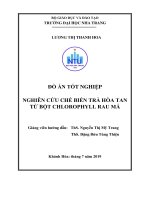 Nghiên cứu chế biến trà hòa tan từ bột chlorophyll rau má  