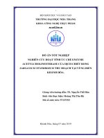 Nghiên cứu hoạt tính ức chế enzyme acetylcholinesterase của dịch chiết rong sagassum tenerrimum thu hoạch tại vùng biển khánh hòa  