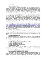 Một số giải pháp xây dựng chủ đề dạy học nâng cao cho học sinh lớp 10 ở giai đoạn đầu nhằm phát hiện và bồi dưỡng học sinh có năng khiếu về toán học 