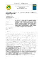 Hoàn thiện quy trình kiểm tra, đánh giá theo hướng tập trung vào năng lực trong các cơ sở đào tạo giáo viên