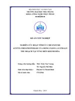 Nghiên cứu hoạt tính ức chế enzyme acetylcholinesterase của rong padina australis thu hoạch tại vùng biển khánh hòa 