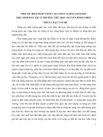 Sáng kiến kinh nghiệm: Một số biện pháp nâng cao chất lượng giáo dục học sinh dân tộc ở trường tiểu học Nguyễn Đình Chiểu