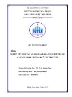 Nghiên cứu chế tạo và khảo sát khả năng hấp thụ ION Cr(VI) của hạt chitosan có cấu trúc xốp  