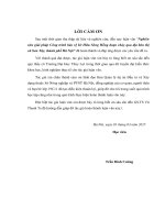 Nghiên cứu giải pháp công trình bảo vệ bờ Hữu Sông Hồng