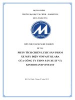 THNN1 PHÂN TÍCH CHIẾN LƯỢC SẢN PHẨM XE MÁY ĐIỆN VINFAST KLARA
