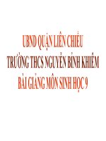 Bài Giảng Môn Sinh học 9 Tuần 21 – Tiết 39, 40, 41, 42