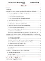 Báo cáo thực tập: Hoạt động giao nhận hàng hóa xuất nhập khẩu bằng đường biển tại Công ty TNHH Thương mại và dịch vụ giao nhận vận tải MPL