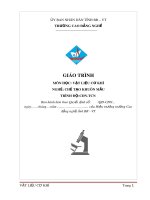 Giáo trình Vật liệu cơ khí - Nghề: Chế tạo khuôn mẫu - CĐ Kỹ Thuật Công Nghệ Bà Rịa-Vũng Tàu