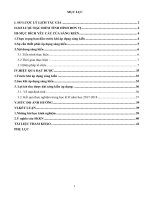 Sáng kiến kinh nghiệm: Vận dụng các kỹ thuật dạy học vào quá trình giảng dạy có hiệu quả