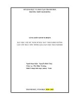 Dạy học chủ đề hàm số bậc hai  theo định hướng gắn với thực tiễn thông qua dạy học trải nghiệm 